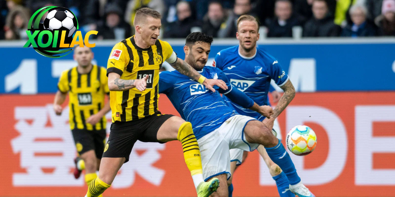 Tổng quan trận Hoffenheim - Borussia Dortmund