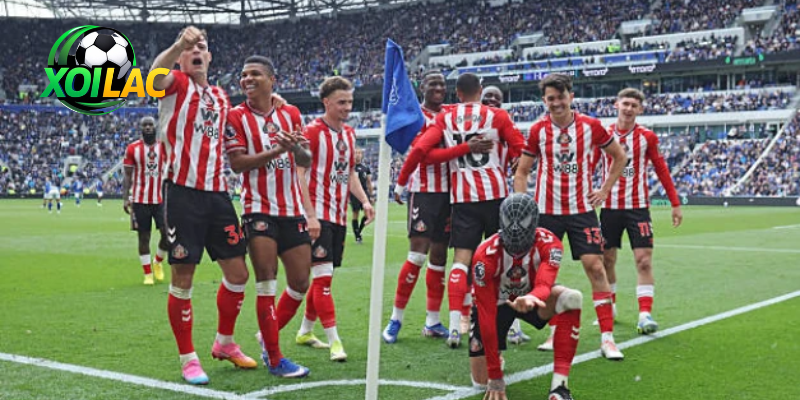 Nhận Định Everton - Sunderland Vào Lúc 21:00 Ngày 17/05
