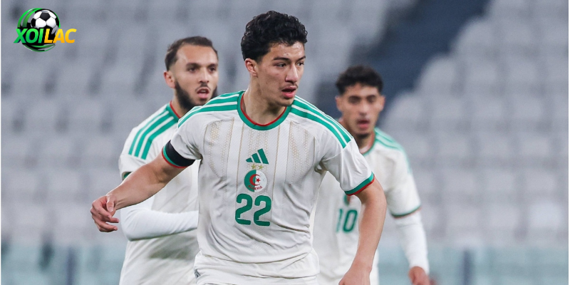 Nhận Định Algeria - Áo Vào Lúc 09:00 Ngày 28/06 | Cục Diện Bảng J Khó Đoán