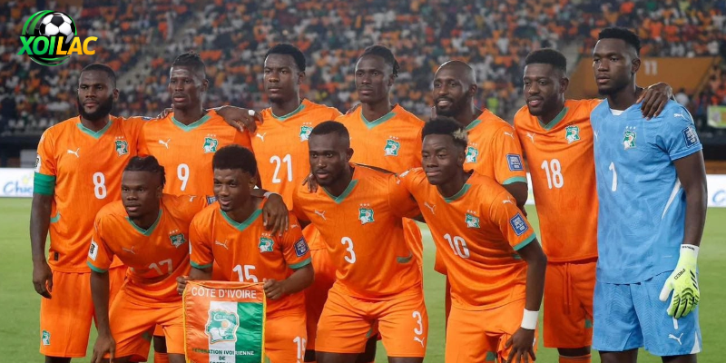 Nhận Định Bờ Biển Ngà - Ecuador Vào Lúc 06:00 Ngày 15/06
