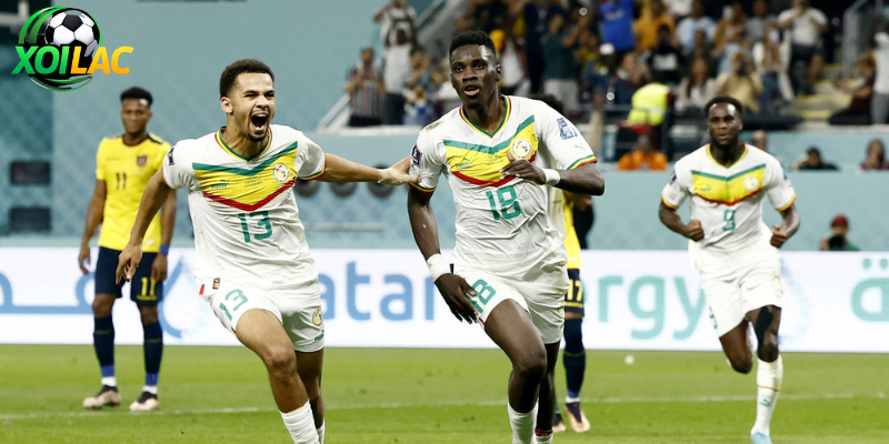 Những lần chạm trán trong quá khứ của Na Uy vs Senegal
