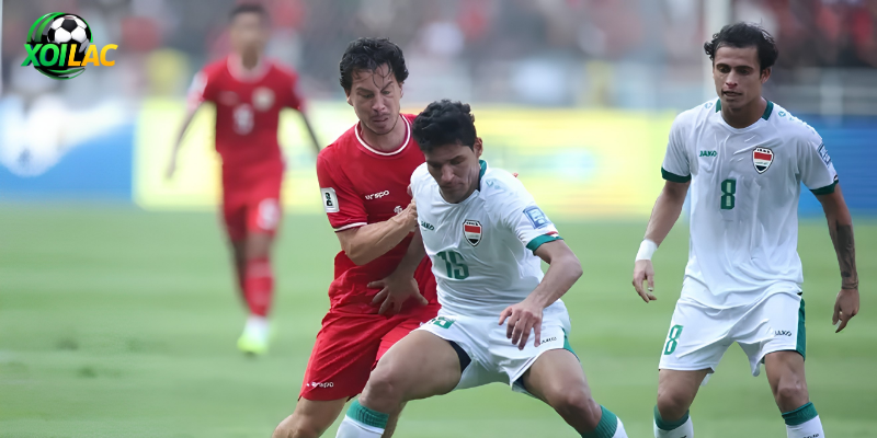 Xoilac soi kèo trận Iraq vs Na Uy vào lúc 05:00 ngày 17/06