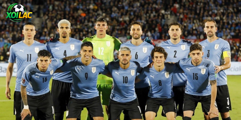 Nhận Định Arab Saudi - Uruguay Vào Lúc 05:00 Ngày 16/06